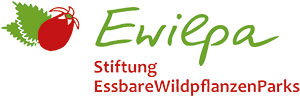 Logo Ewilpa - Essbare Wildpflanzen Parks
