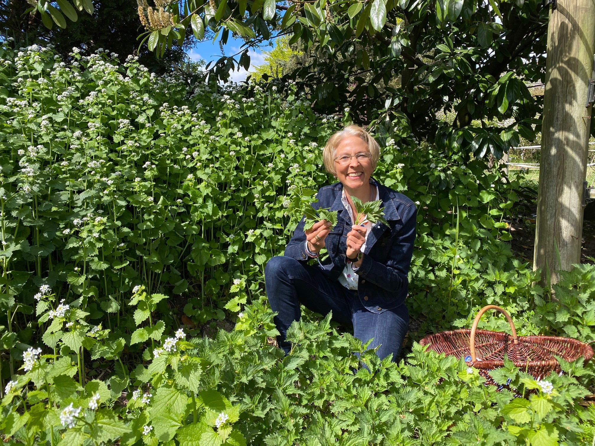 Knoblauchsrauke und Brennnessel